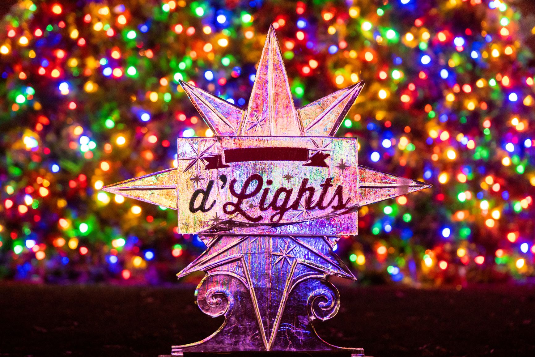dLights 2019 164